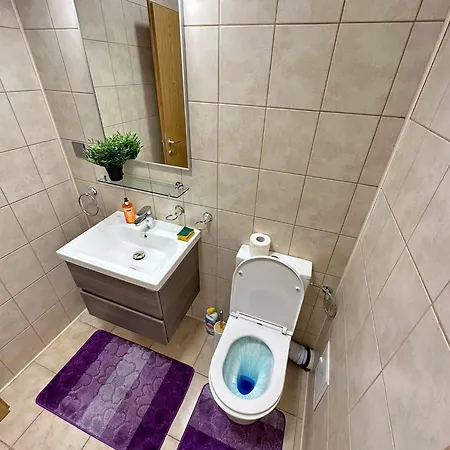 Apartman Centru Unirii Luxury Vip Palmier Apartament 2 Cu Terasa Exterioara Amenajata ! Parcare Subterana Privata Climatizata Si Supravegheata Video Dar Doar Cu Rezervare In Limita Locurilor Disponibile !proprietate In Regim Hoteliep - Nu Are Bucatarie Bukarest
