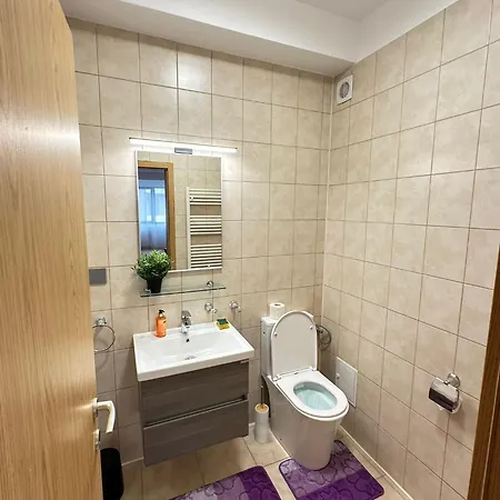 Centru Unirii Luxury Vip Palmier Apartament 2 Cu Terasa Exterioara Amenajata ! Parcare Subterana Privata Climatizata Si Supravegheata Video Dar Doar Cu Rezervare In Limita Locurilor Disponibile !proprietate In Regim Hoteliep - Nu Are Bucatarie Apartman Bukarest